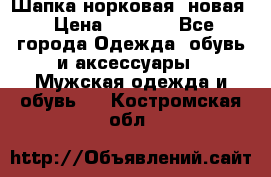 Шапка норковая, новая › Цена ­ 5 000 - Все города Одежда, обувь и аксессуары » Мужская одежда и обувь   . Костромская обл.